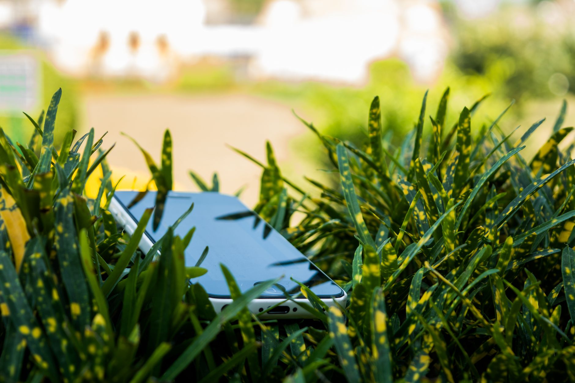 AI検索の要約画面が映るスマホと背景の観葉植物でllmo対策とはを表現
