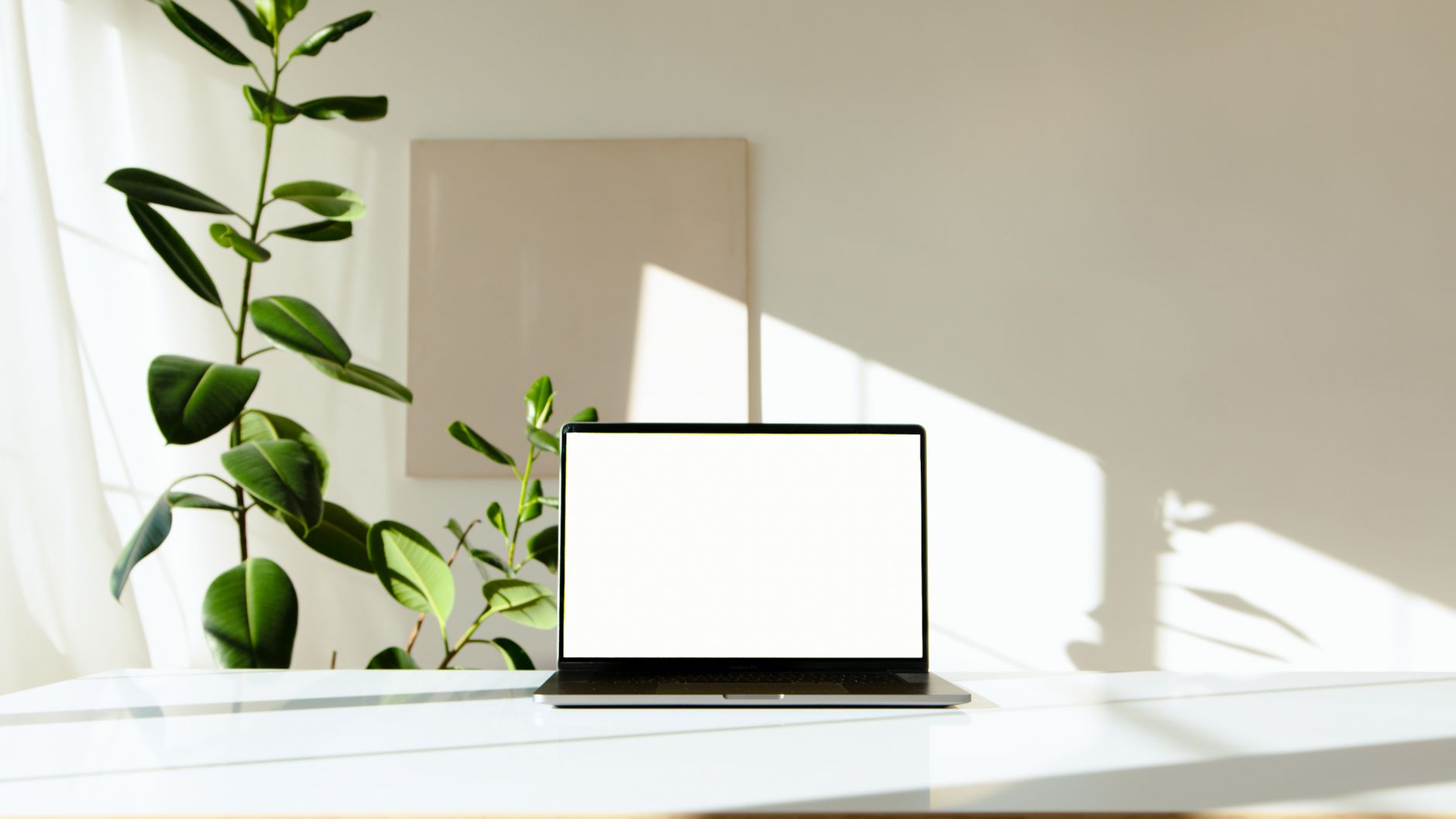 llmo診断とは中小企業のオフィス。ノートPCとチェックシート、観葉植物のある落ち着いた空間